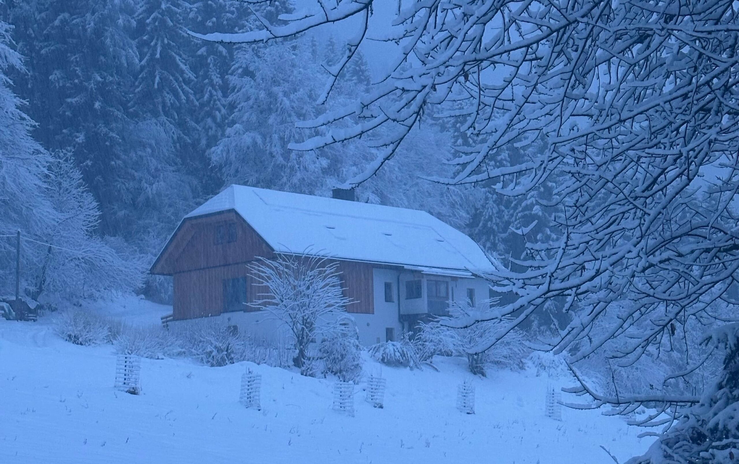 House under the snow (1)