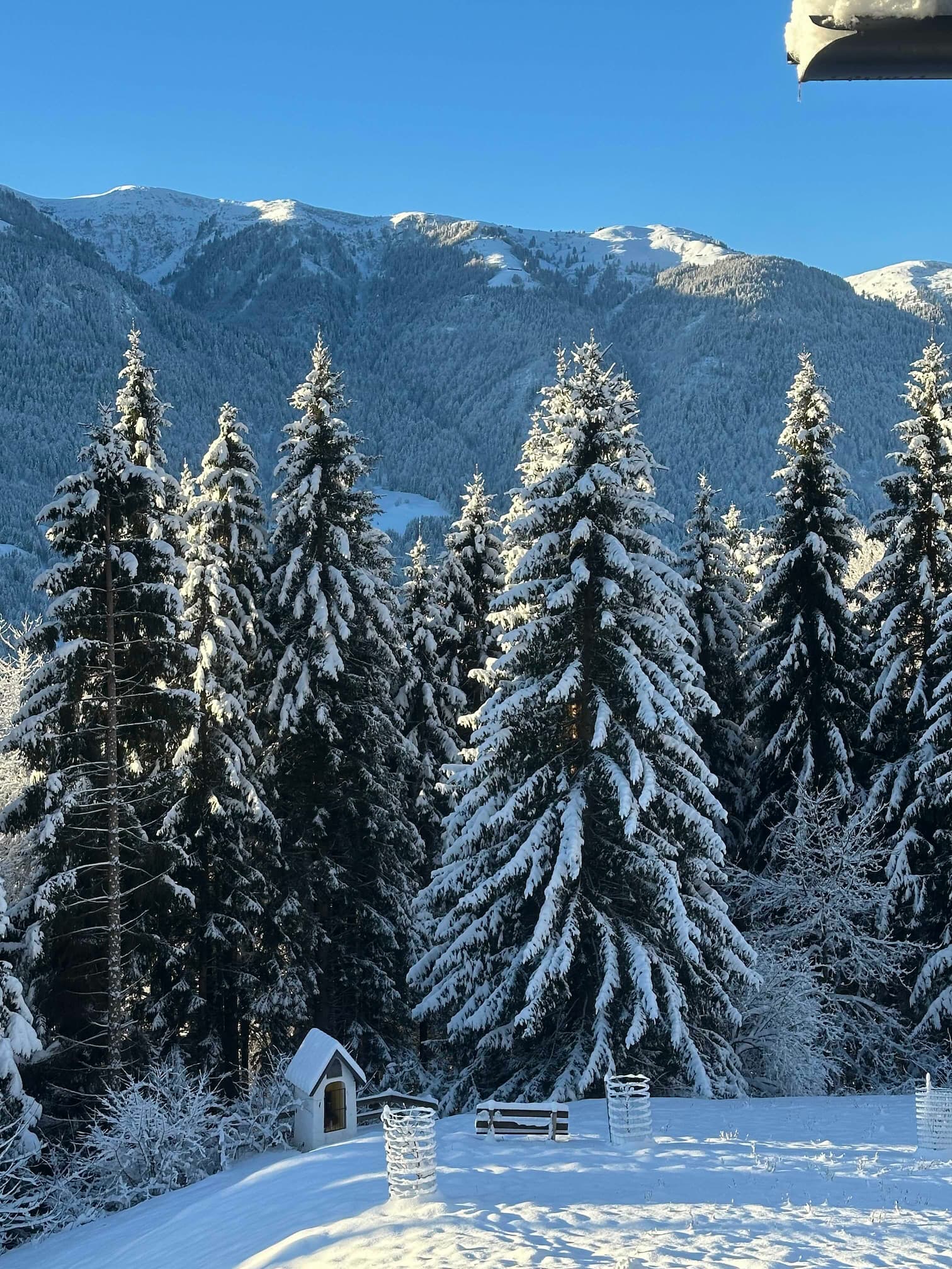 montagne neige vue (1)