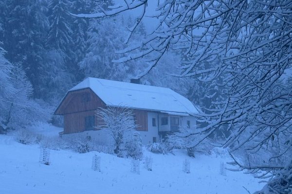 House under the snow (1)
